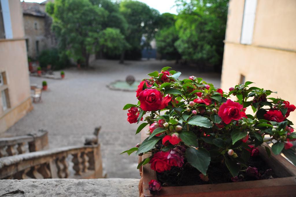 Chateau De Jonquieres - Herault エクステリア 写真