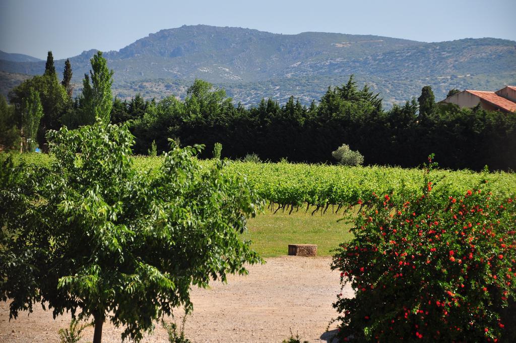 Chateau De Jonquieres - Herault エクステリア 写真